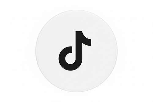 TikTok Logo - White Background